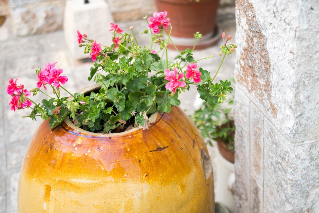 Giardino Segreto Bed & Breakfast Putignano Dış mekan fotoğraf