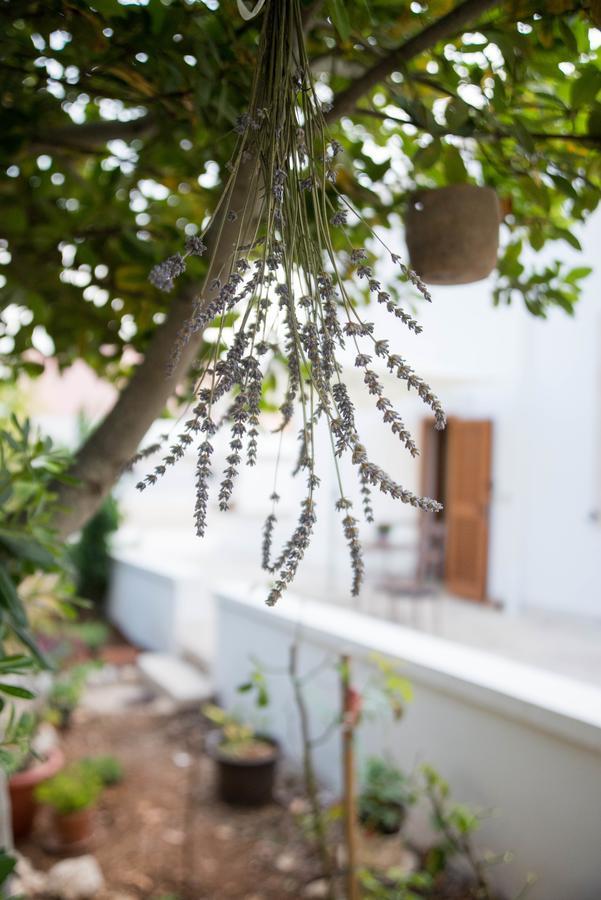 Giardino Segreto Bed & Breakfast Putignano Dış mekan fotoğraf