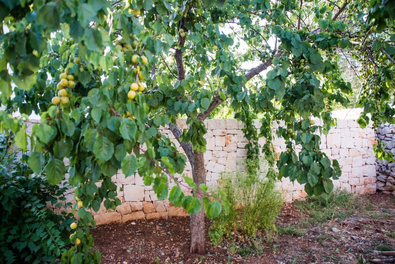 Giardino Segreto Bed & Breakfast Putignano Dış mekan fotoğraf